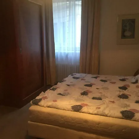 アパート Diana Apartmets カルロヴィ・ヴァリ
